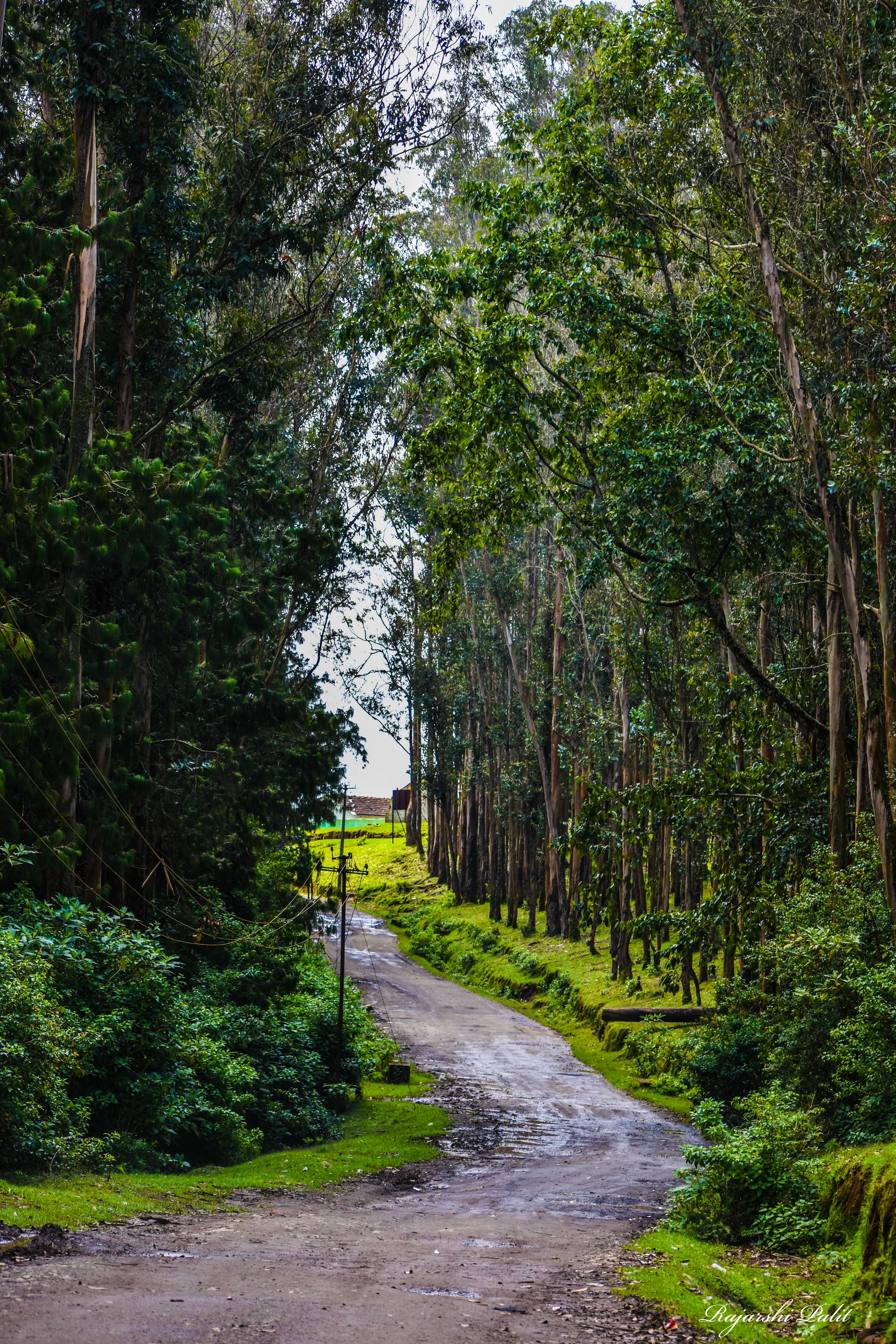 Ooty 